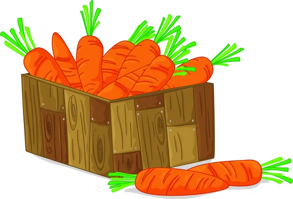Zanahorias — Archivo Imágenes Vectoriales