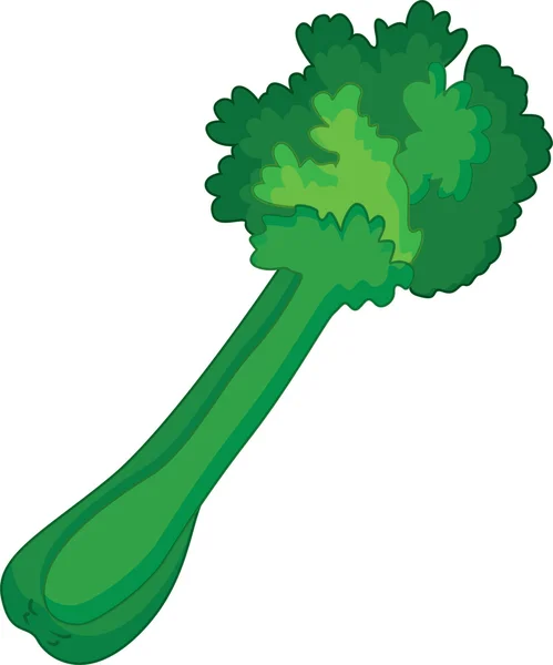 Celer řapíkatý — Stockový vektor