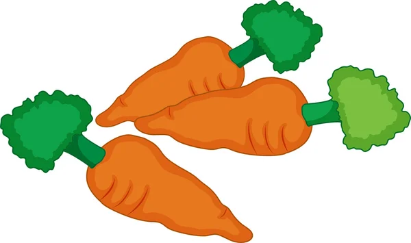 Carrots — Stock Vector