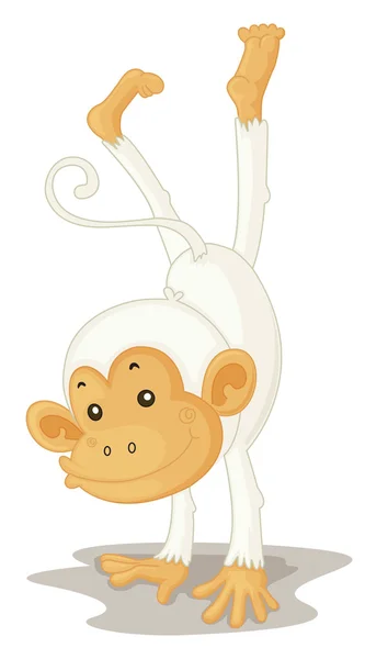 ลิง — ภาพเวกเตอร์สต็อก