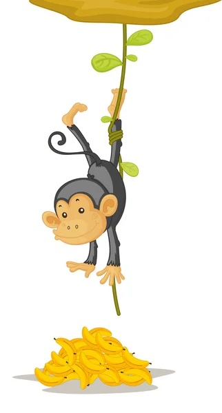 Macaco. — Vetor de Stock
