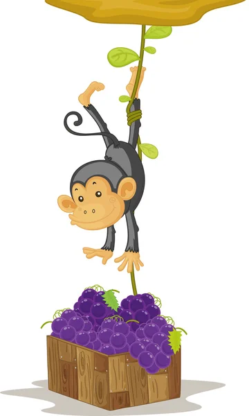 Μαϊμού — Διανυσματικό Αρχείο