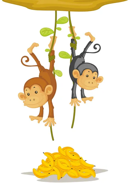 Due scimmie — Vettoriale Stock