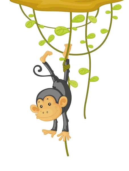 stock vector monkey