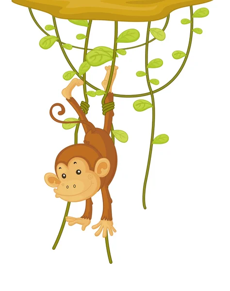 Opice — Stockový vektor
