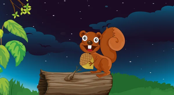Niedliches Eichhörnchen — Stockvektor