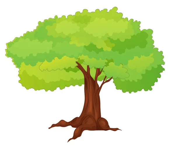 Árvore — Vetor de Stock