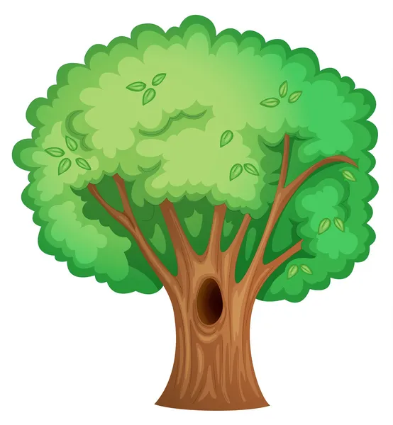 Ağaç — Stok Vektör