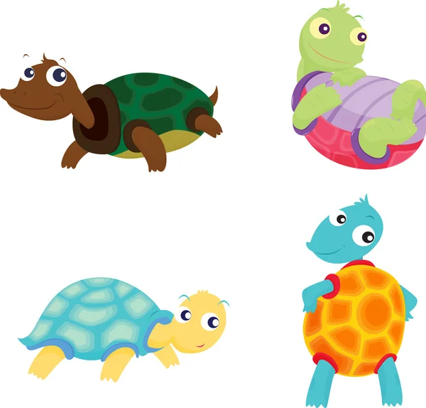 Kaplumbağalar — Stok Vektör