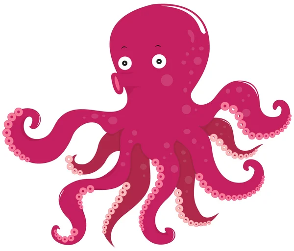 Octopus — Stock Vector