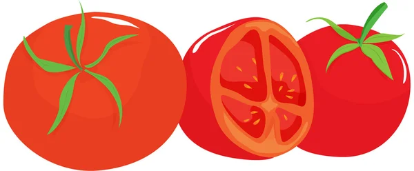 Tomates — Vetor de Stock