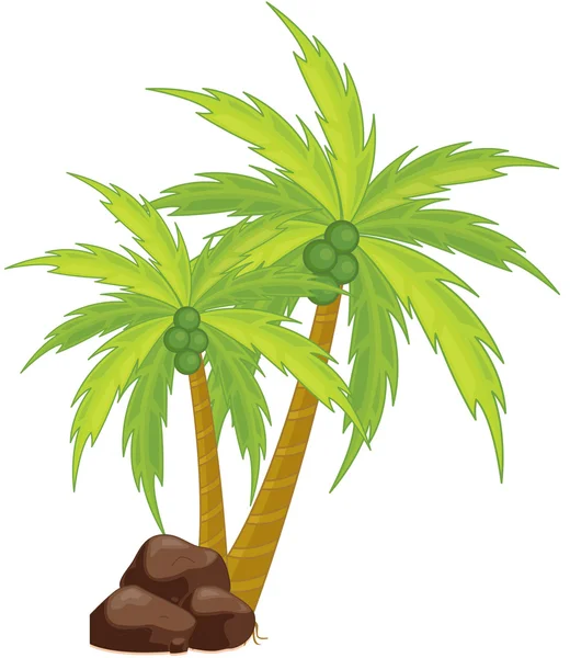 Пальмові — стоковий вектор