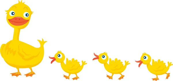 Famille des canards — Image vectorielle