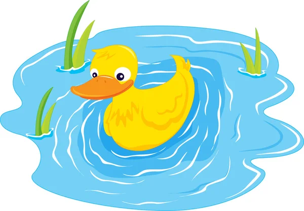 Un pato nadador — Vector de stock
