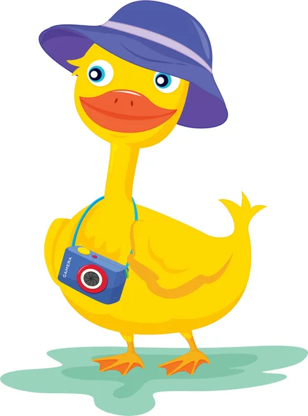 stock vector a duck with a camera