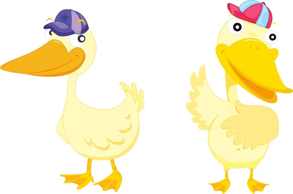 Two ducks — Stock Vector