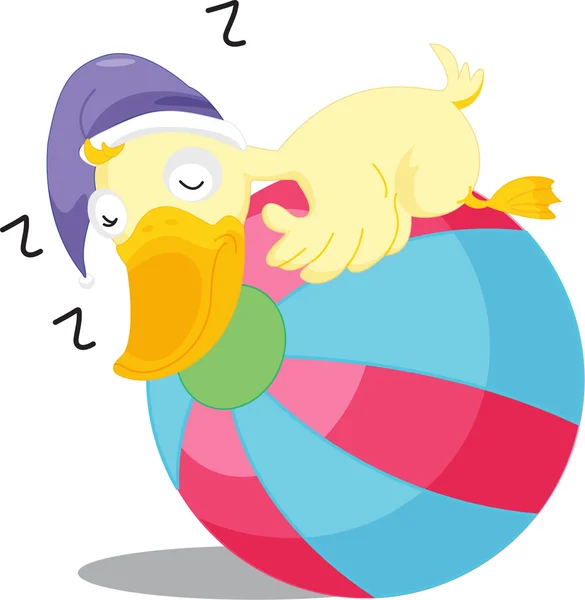 Sleeping duck — Stock Vector