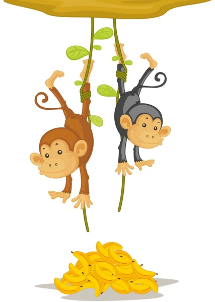Dos monos. Vector de stock