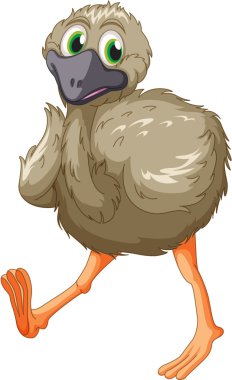 Emu cartoon clipart