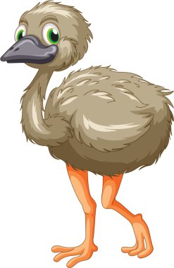 Emu cartoon clipart