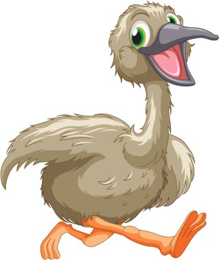 Emu cartoon clipart