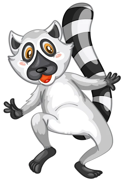 Lemur — Stok Vektör