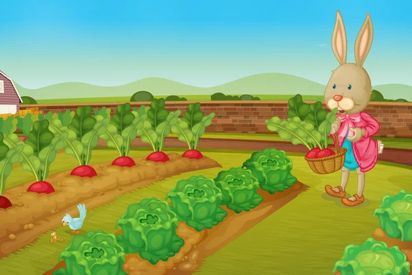 Rabbit picking vegies — Stock Vector