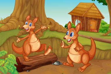 Kangaroos playing clipart