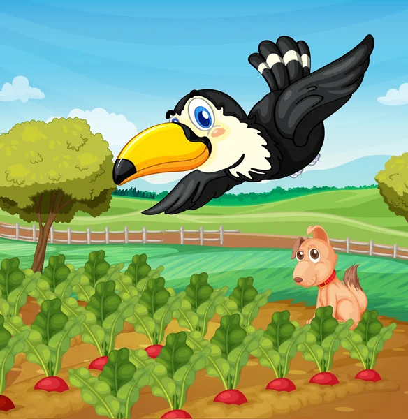 Tukan na farmie — Wektor stockowy