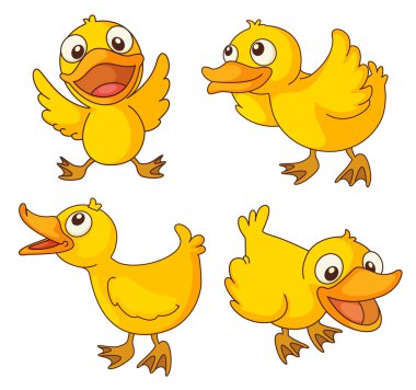 Chicks clipart