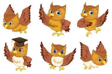 Owl series clipart