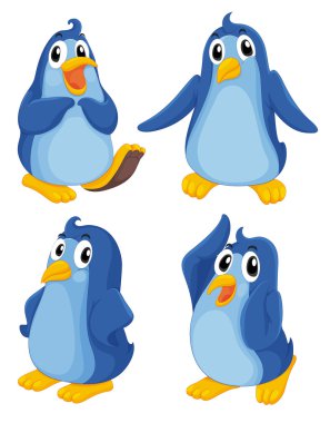 Penguins clipart