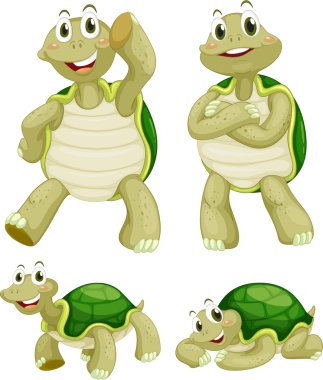 Turtles clipart