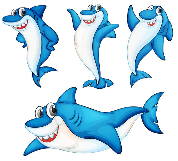Shark series