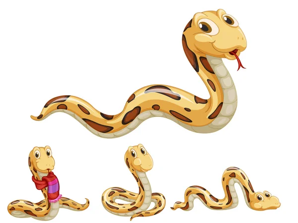 Serpent série — Image vectorielle