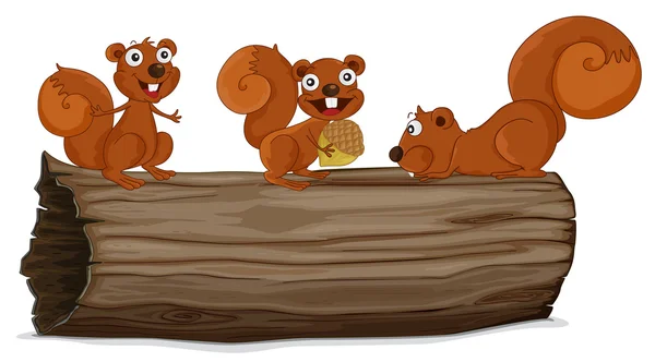 Écureuils sur une bûche — Image vectorielle