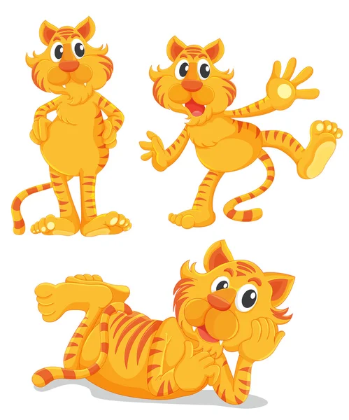 Ginger serie gatti — Vettoriale Stock
