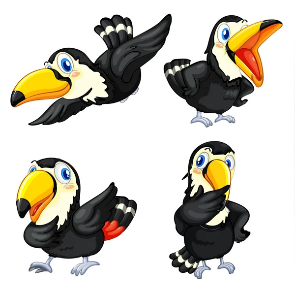 Série de aves Toucan — Vetor de Stock