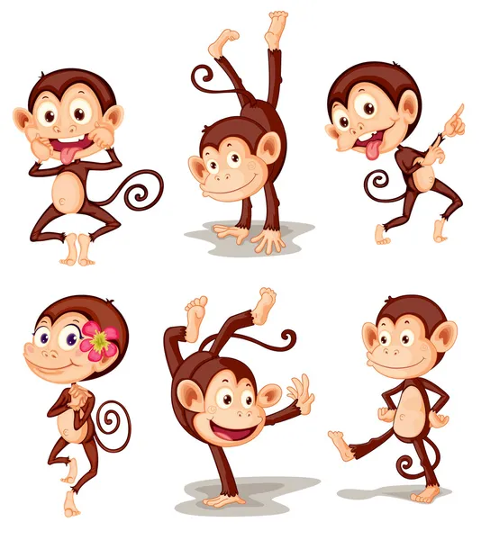 Monkey Cartoon Vector Art Stock Images Depositphotos