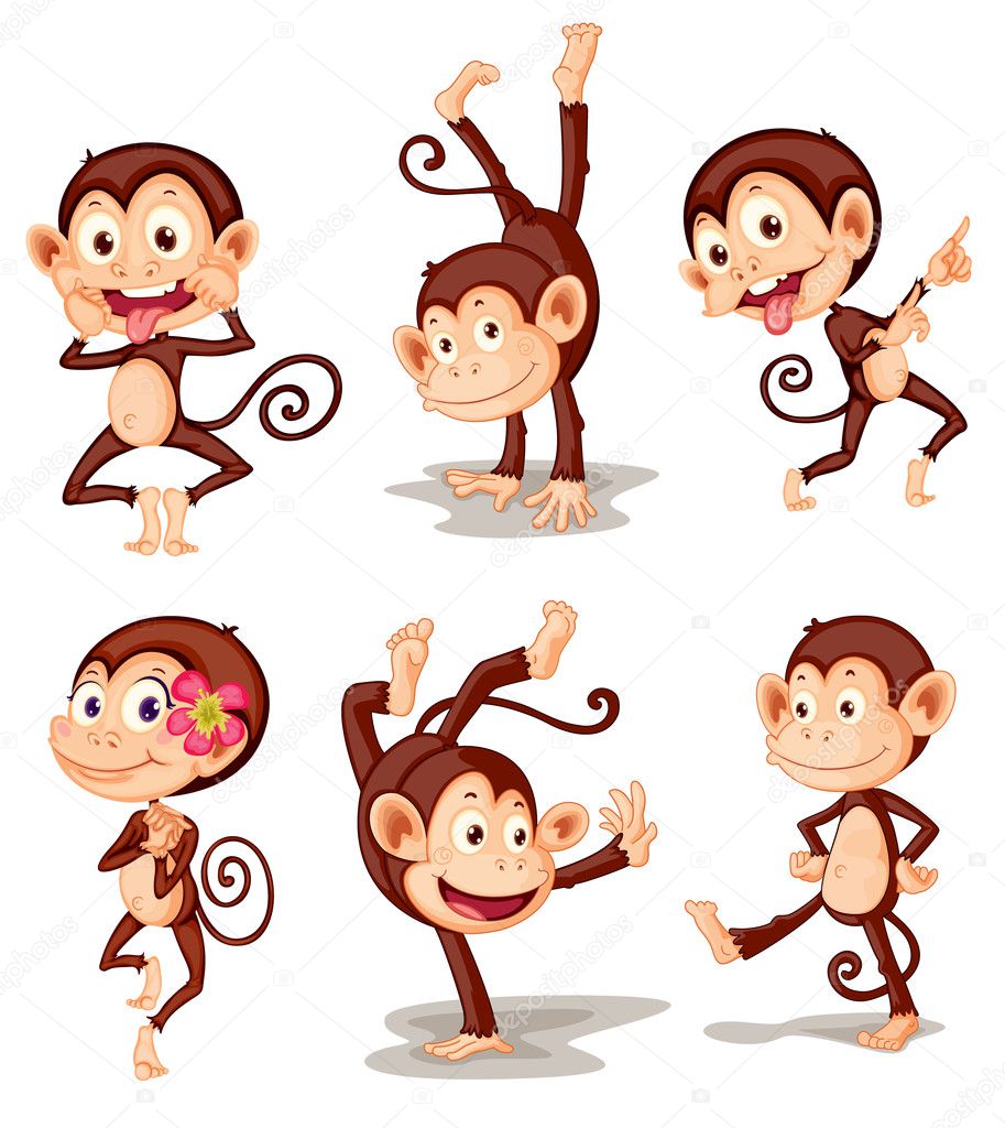 Monkey cartoon monkey cartoon monkey cartoon