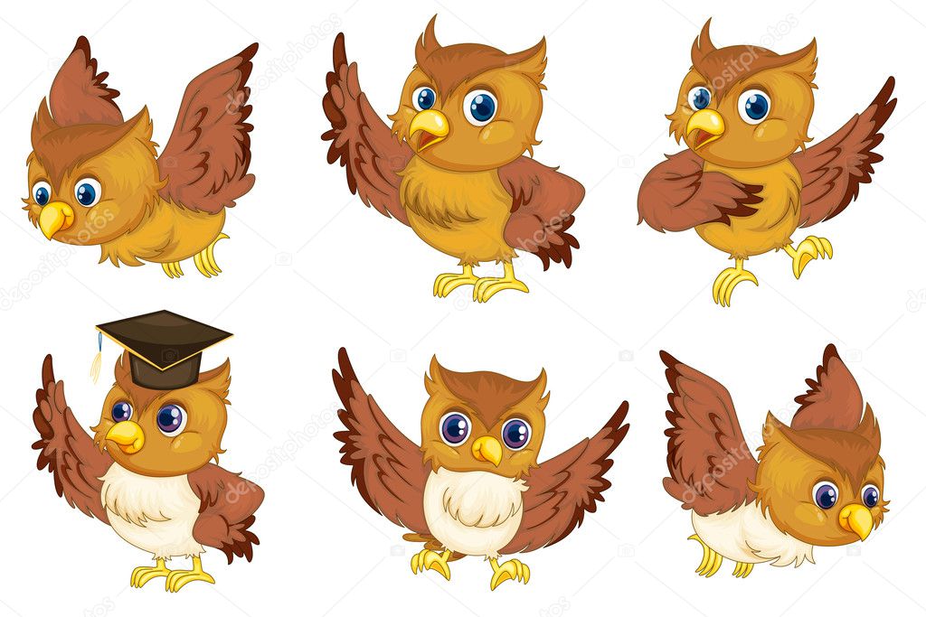 áˆ Owl Images Cartoon Stock Backgrounds Royalty Free Owl Illustrations Download On Depositphotos