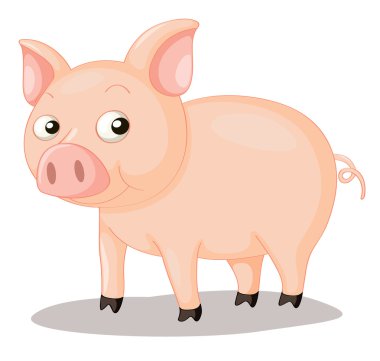 Pig illustration clipart