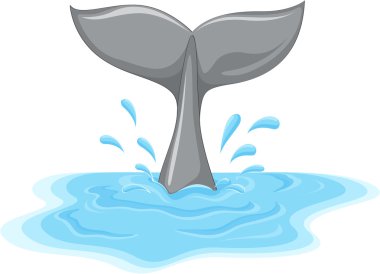 Whale tail clipart