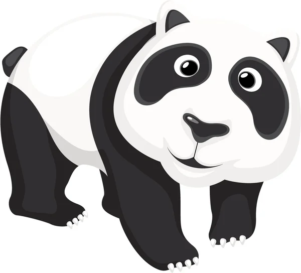 Lindo panda — Vector de stock