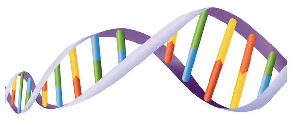 Šroubovice DNA Stock Vektory
