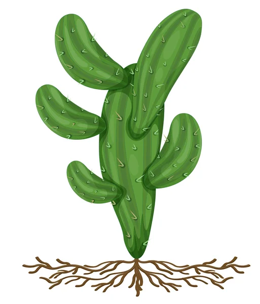 stock vector Cactus