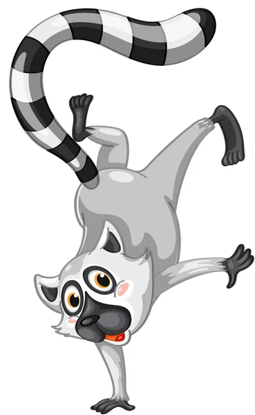 Sr. Lemur —  Vetores de Stock