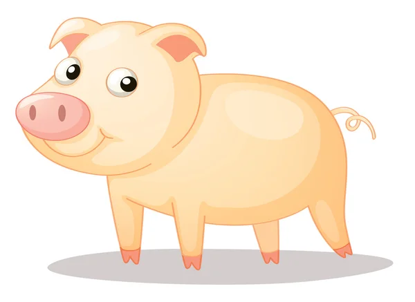 Piggy — Stock Vector