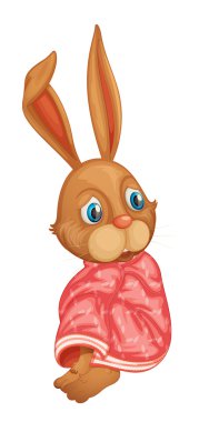 rabbit clipart