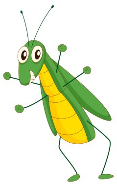 grasshopper clipart